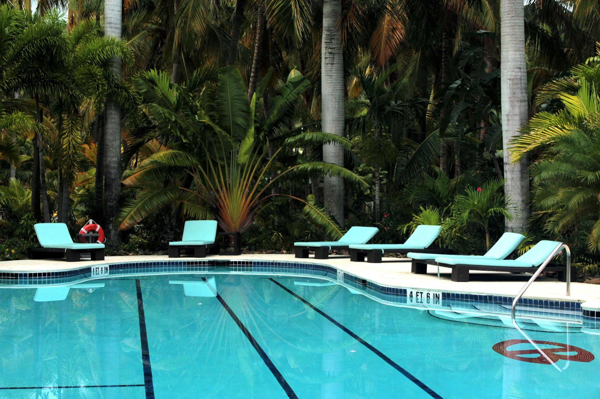 Curtain Bluff Hotell Old Road Eksteriør bilde